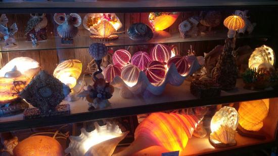 Treasures from the Deep Opal and Shell Museum